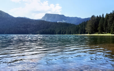 Gdzie zjeść w&nbsp;Dobczycach nad&nbsp;jeziorem? Przewodnik miejsc + trasy spacerowe