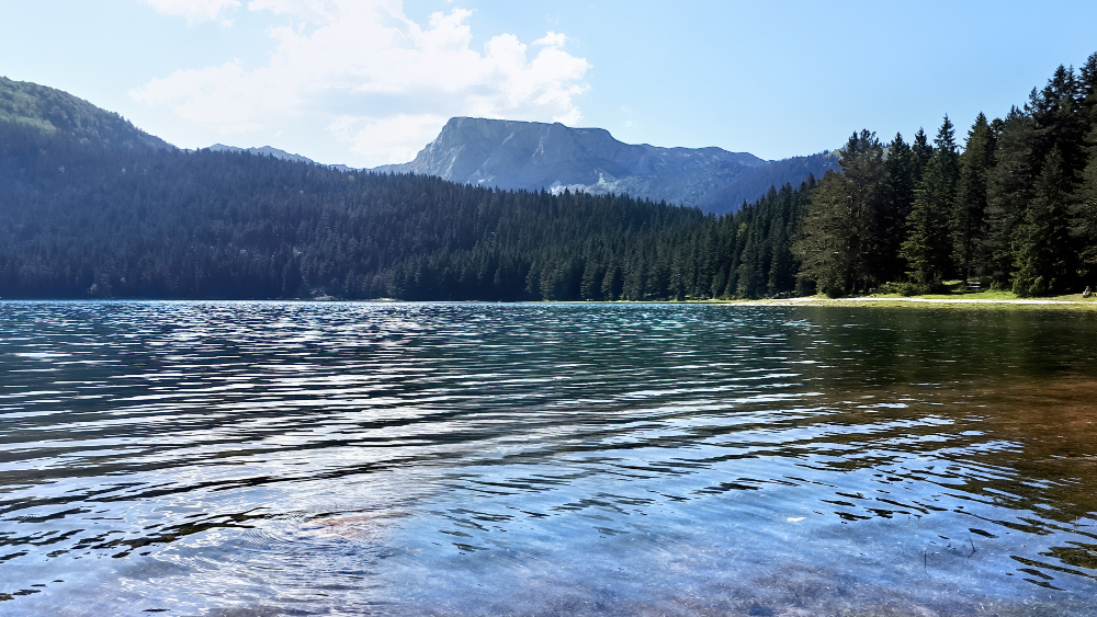 gdzie zjeść w Dobczycach nad jeziorem